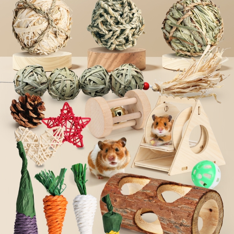 Hamster toys and accessories hotsell