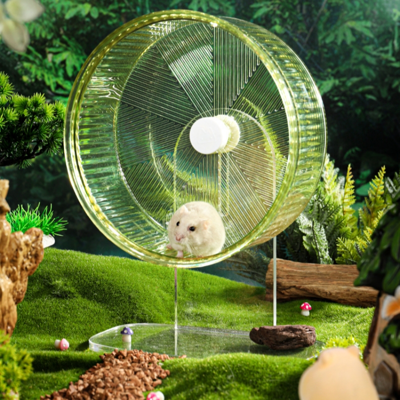 white hamster on a green transparent plastic wheel