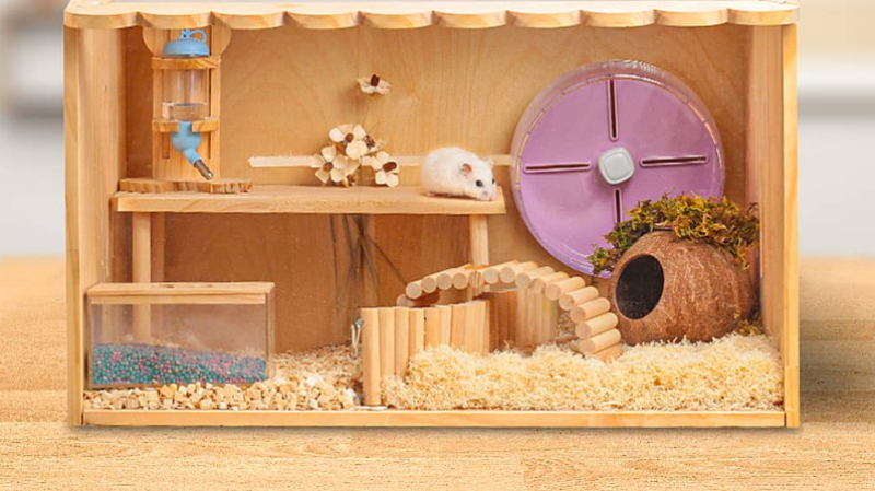 a white hamster wood cage