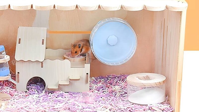 wooden hamster home with the hamster wheel