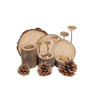 natural wooden accessories for hamsters