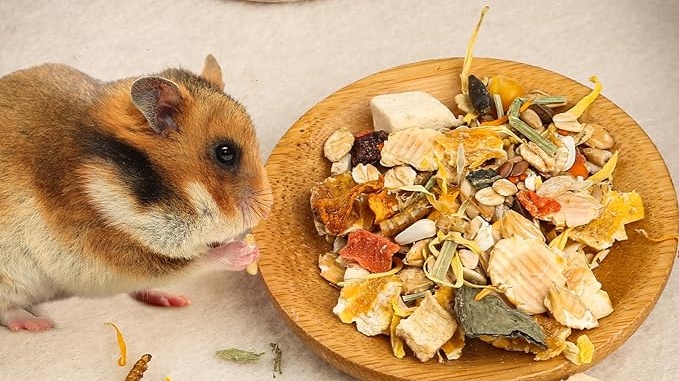 hamster is eating foods